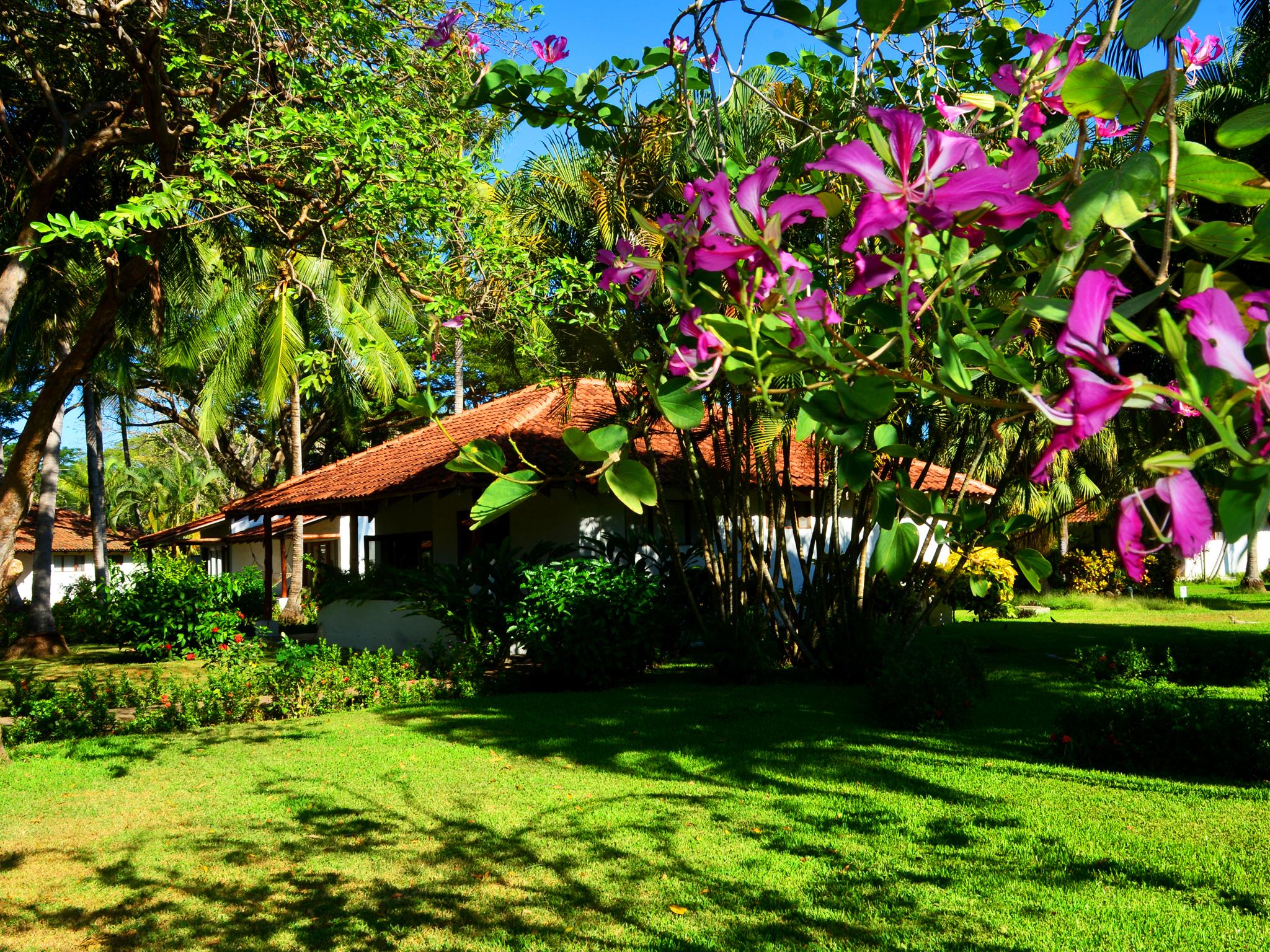 Villas Playa Samara Beach Front All Inclusive Resort Exterior foto